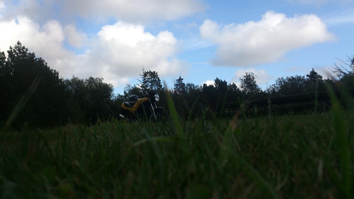 Yamaha RD 350 LC YPVS billede 5