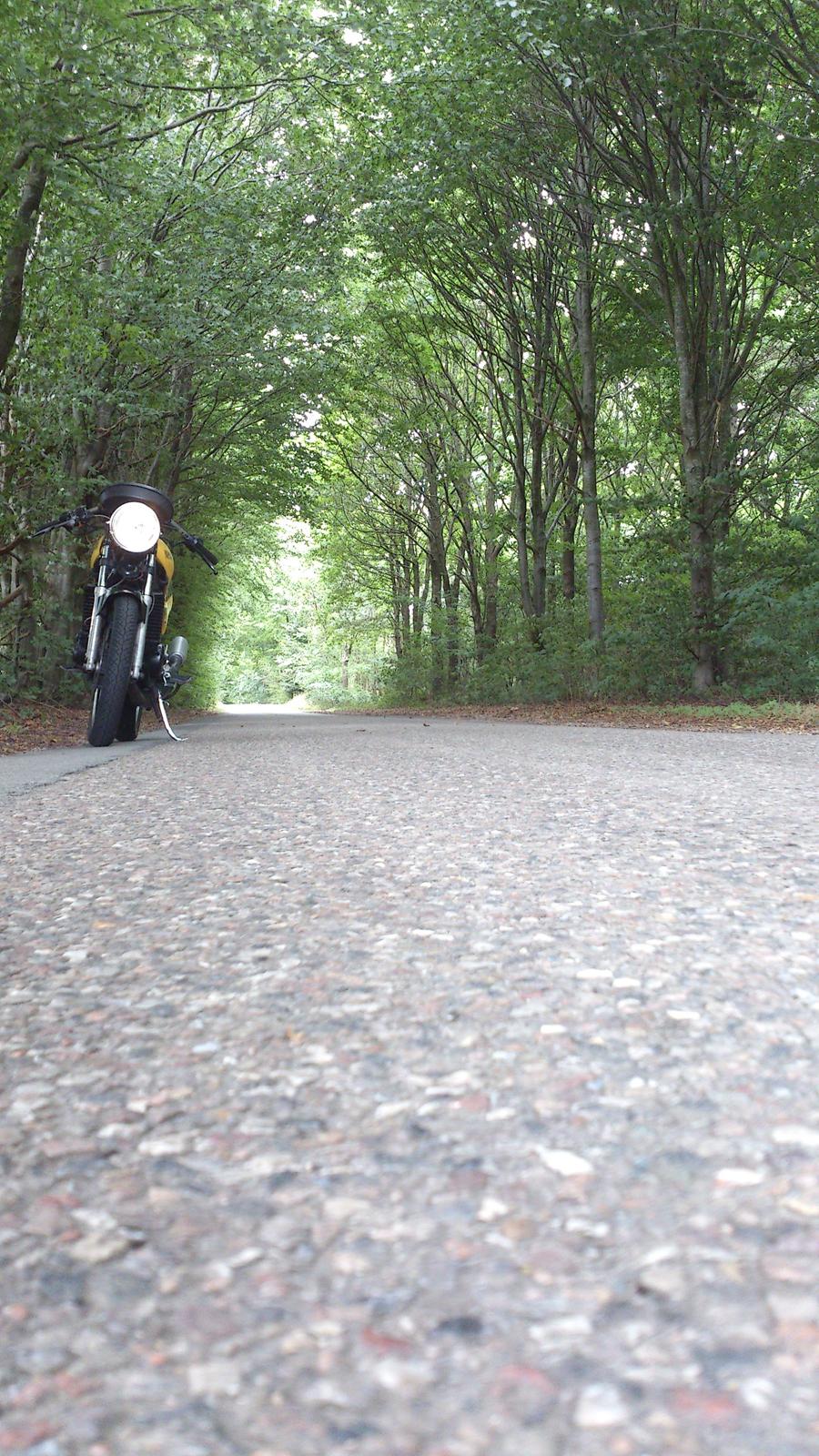 Yamaha RD 350 LC YPVS billede 4