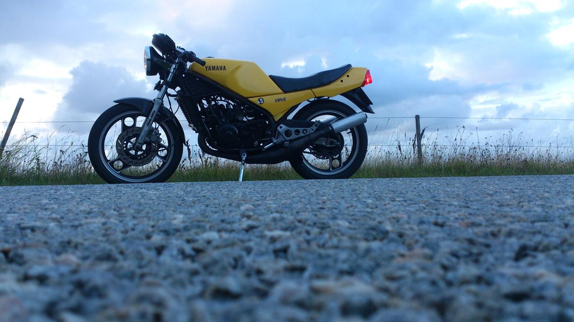 Yamaha RD 350 LC YPVS billede 2