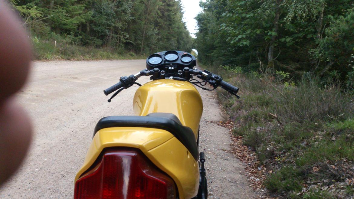 Yamaha RD 350 LC YPVS billede 3