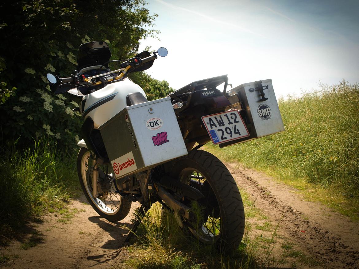 Yamaha XTZ 660 Teneré billede 25