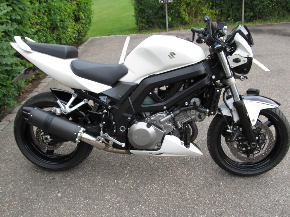 Suzuki SV 1000 N billede 6