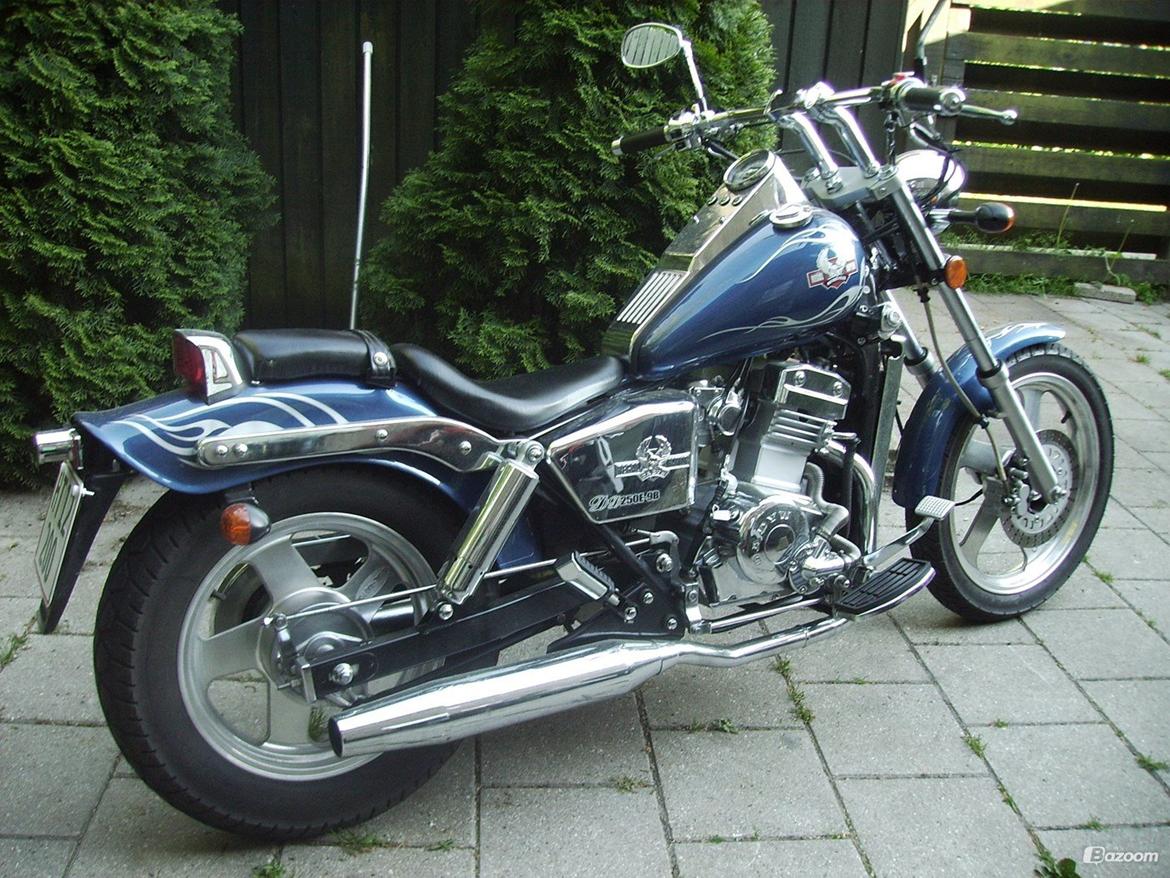 Regal Raptor DD250E-9B - før billede 18