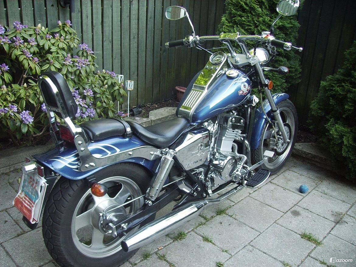 Regal Raptor DD250E-9B - før billede 19