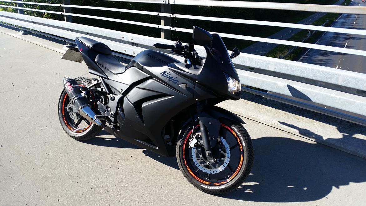 Kawasaki Ninja 250R billede 10