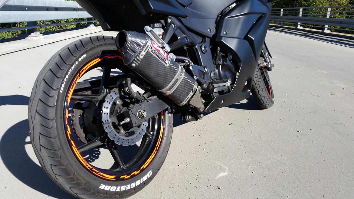 Kawasaki Ninja 250R billede 6