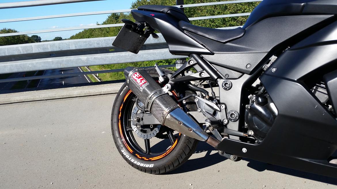 Kawasaki Ninja 250R billede 7