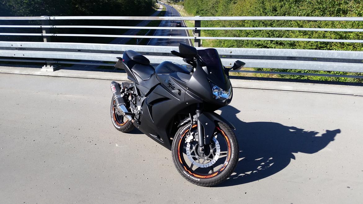 Kawasaki Ninja 250R billede 3