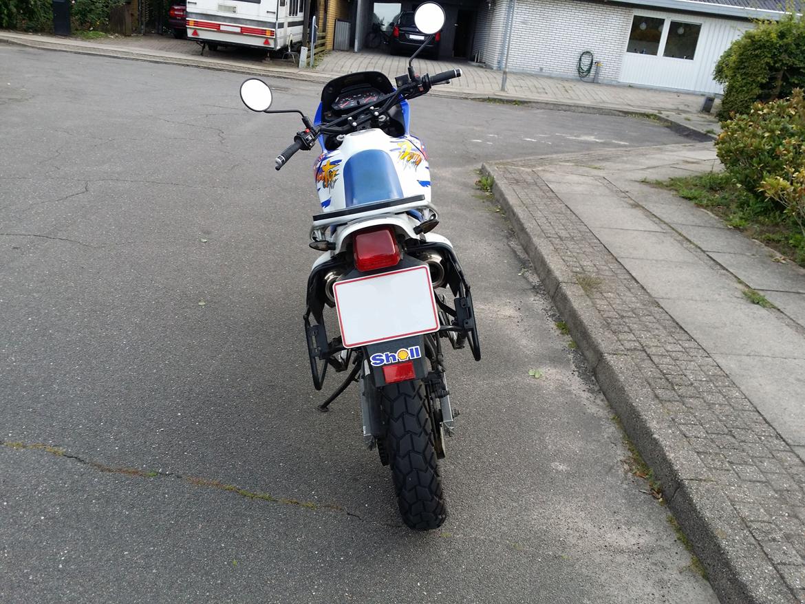 Honda SOLGT NX 650 Dominator billede 5