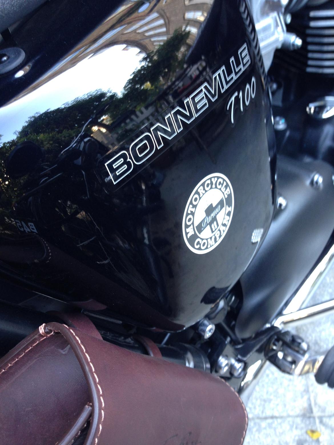 Triumph Bonneville T100 Black billede 5