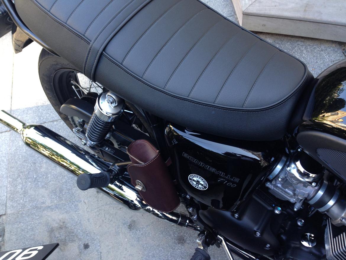 Triumph Bonneville T100 Black billede 9