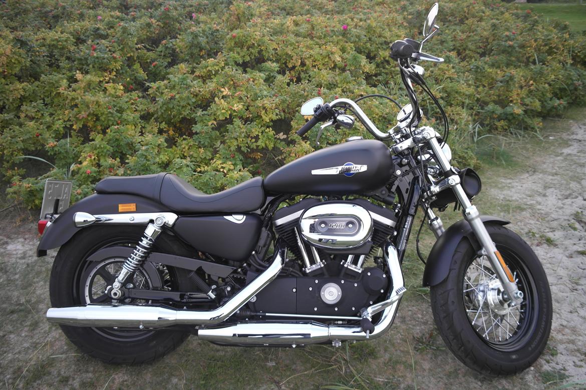 Harley Davidson Sporster custom 1200 CB billede 1