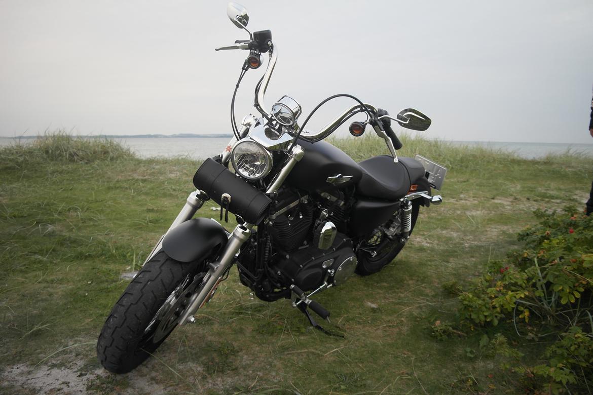 Harley Davidson Sporster custom 1200 CB billede 4