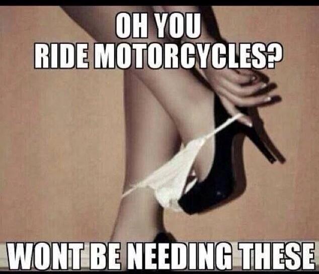 Lauge Jensen Great Dane billede 16