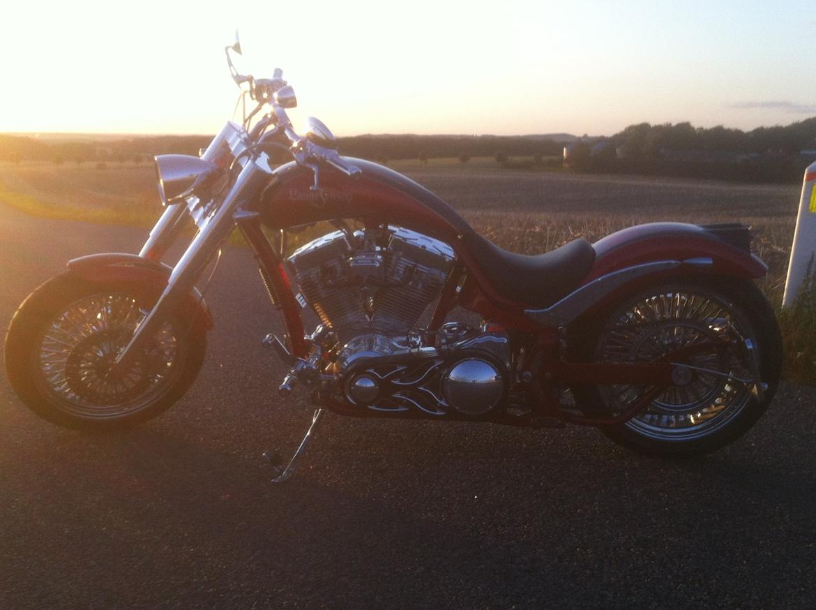 Lauge Jensen Great Dane billede 3