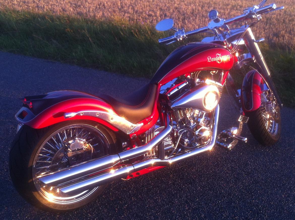 Lauge Jensen Great Dane billede 2