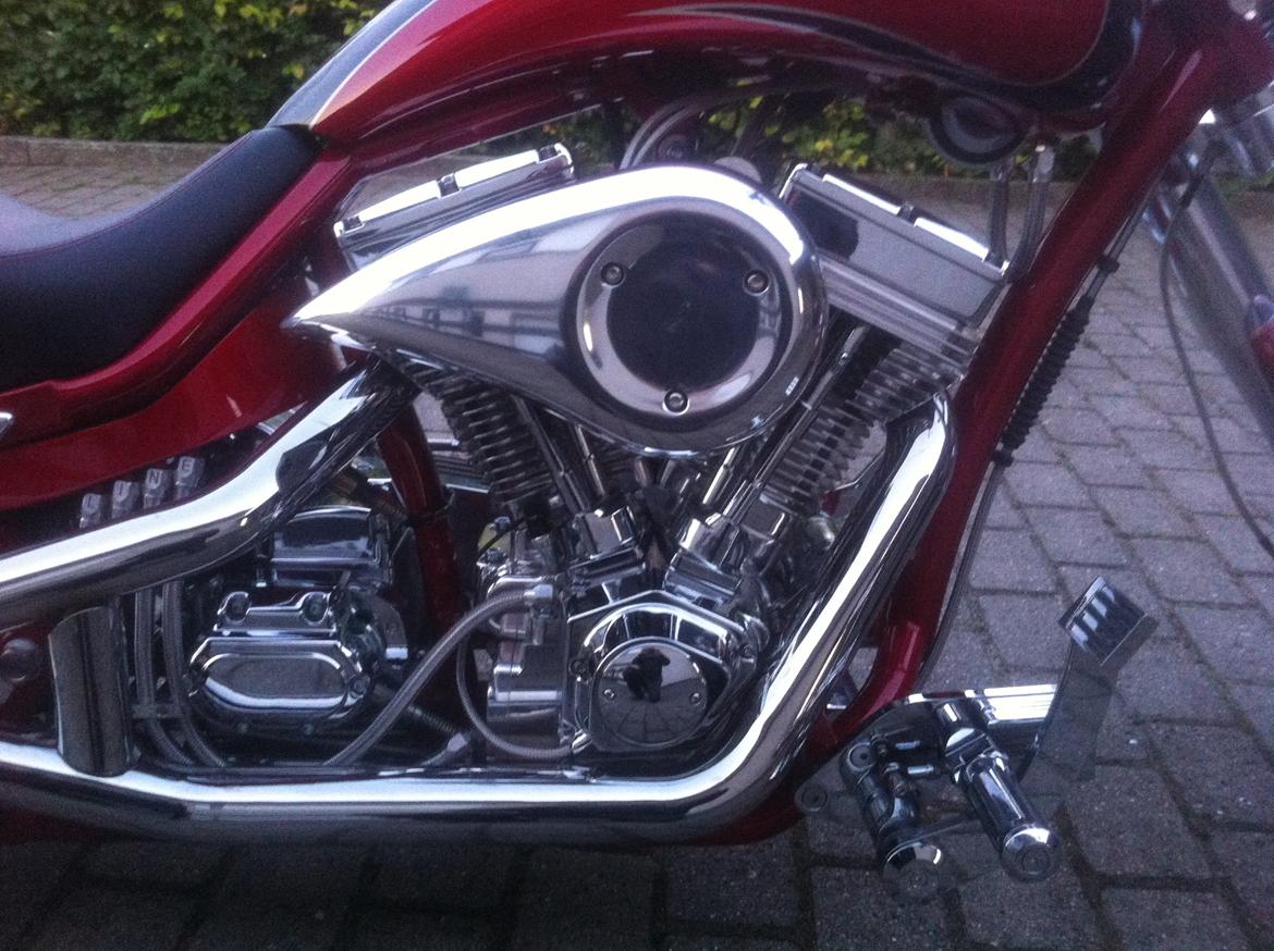 Lauge Jensen Great Dane billede 4