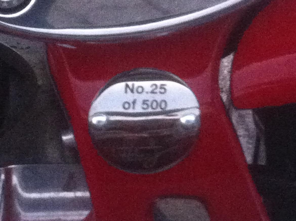 Lauge Jensen Great Dane billede 5