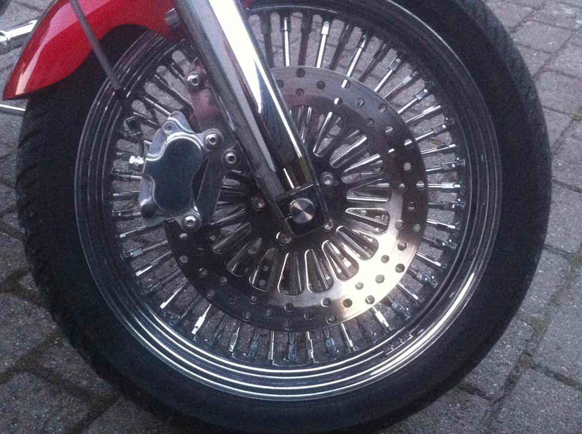 Lauge Jensen Great Dane billede 7