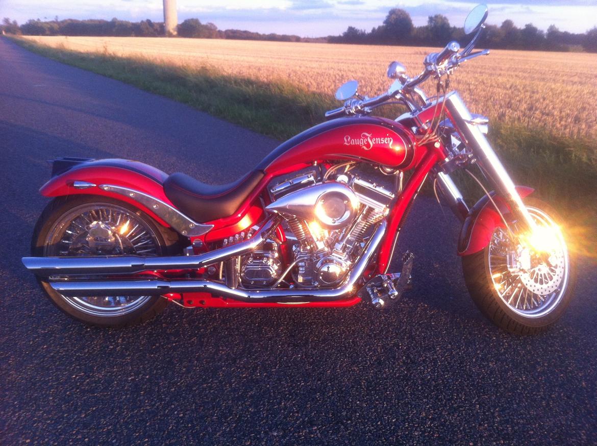 Lauge Jensen Great Dane billede 1