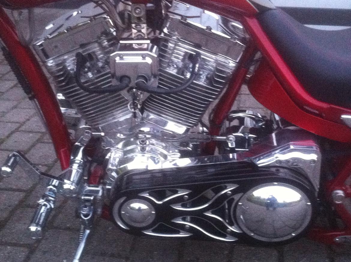 Lauge Jensen Great Dane billede 10