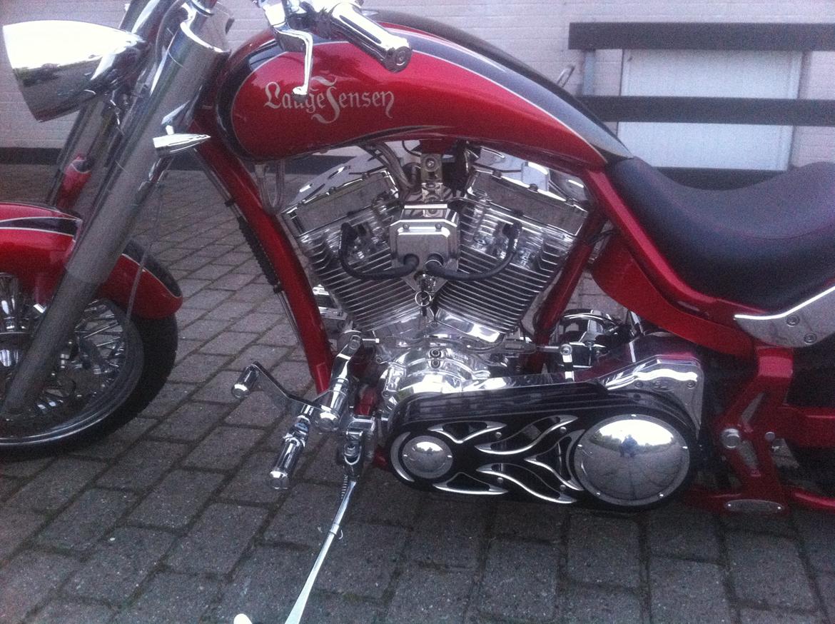 Lauge Jensen Great Dane billede 11