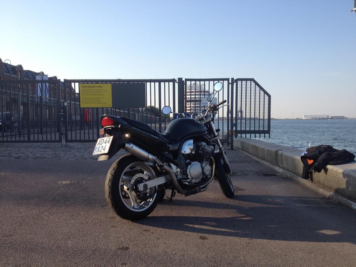 Suzuki GSF600 N Bandit billede 4