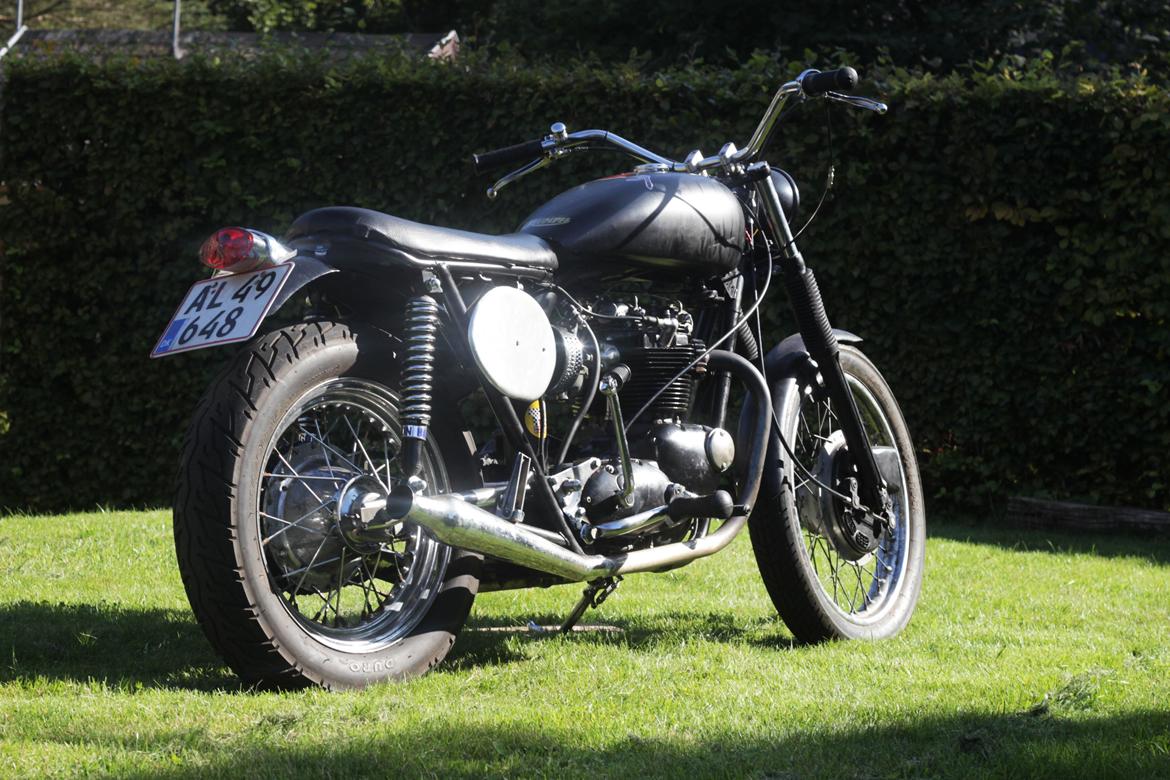 Triumph Tribsa Tracker billede 4