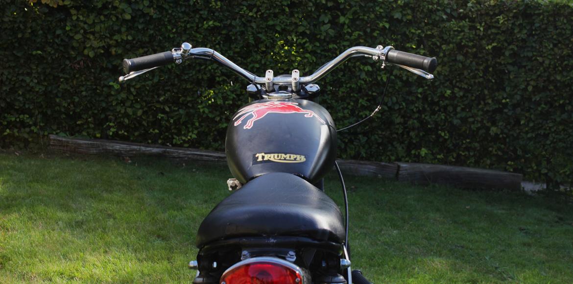 Triumph Tribsa Tracker billede 7