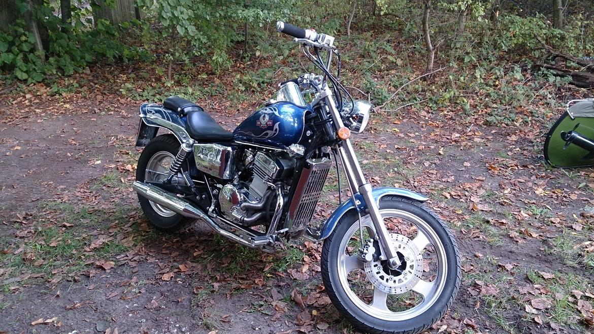 Regal Raptor DD250E-9B - inden lygtebro billede 7