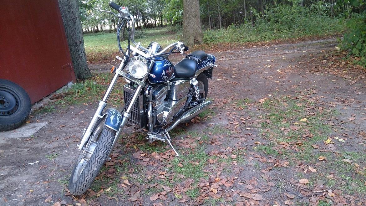 Regal Raptor DD250E-9B - inden lygtebro billede 6