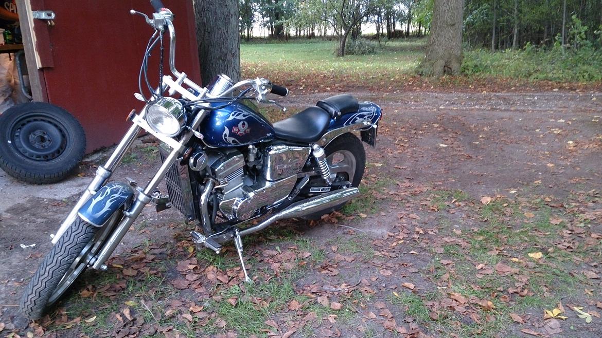 Regal Raptor DD250E-9B - inden lygtebro billede 9