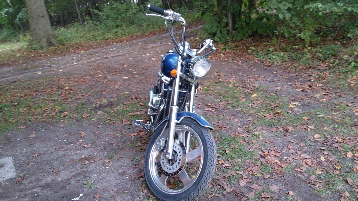 Regal Raptor DD250E-9B - inden lygtebro billede 8