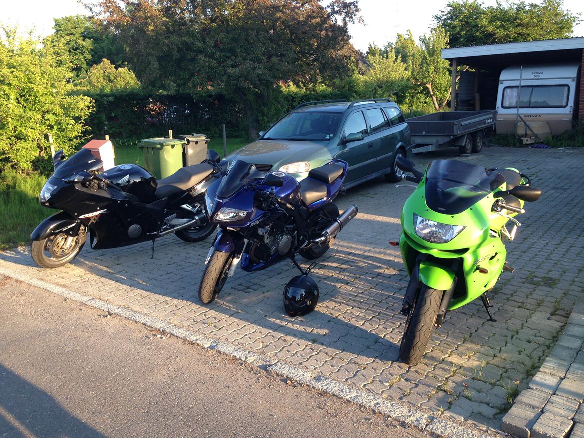 Suzuki SV 1000s billede 2