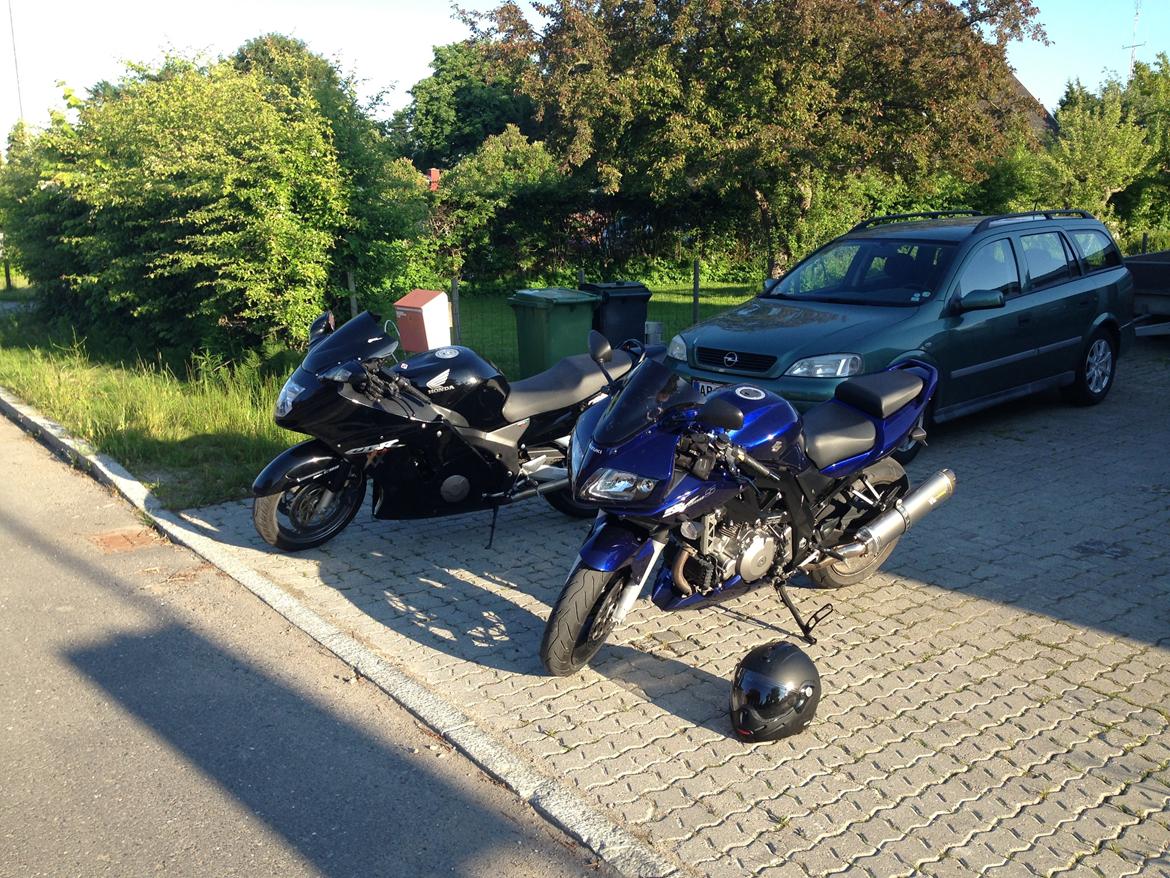 Suzuki SV 1000s billede 7