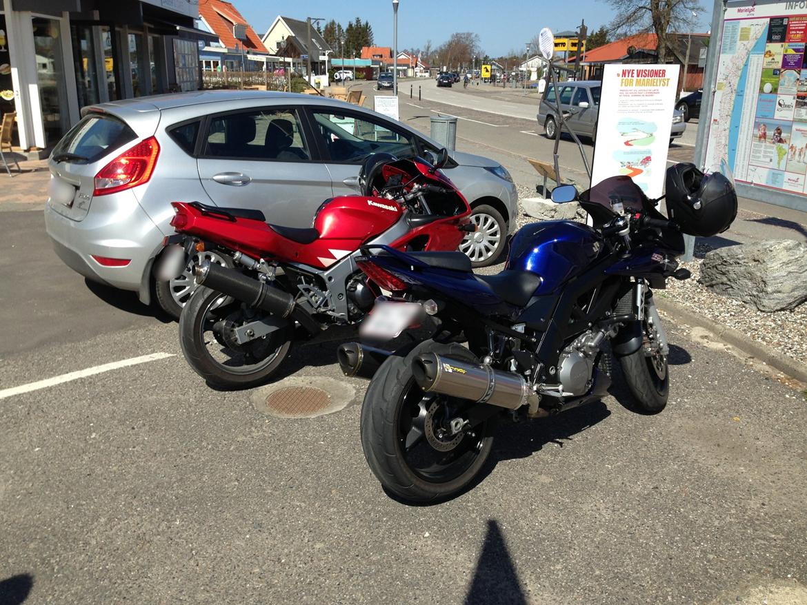 Suzuki SV 1000s billede 6