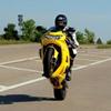Baghjulskørsel Wheelies Stoppies Tricks
