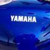 Yamaha XJ 600 S Diversion