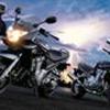 BANDITTERNE