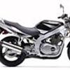 Clup 500cc.