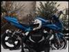 SV 650/1000