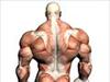 Fitness Freaks