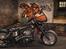 Harley Davidson Shovelhead