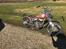 Harley Davidson Flathead