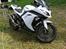 Kawasaki Ninja 300