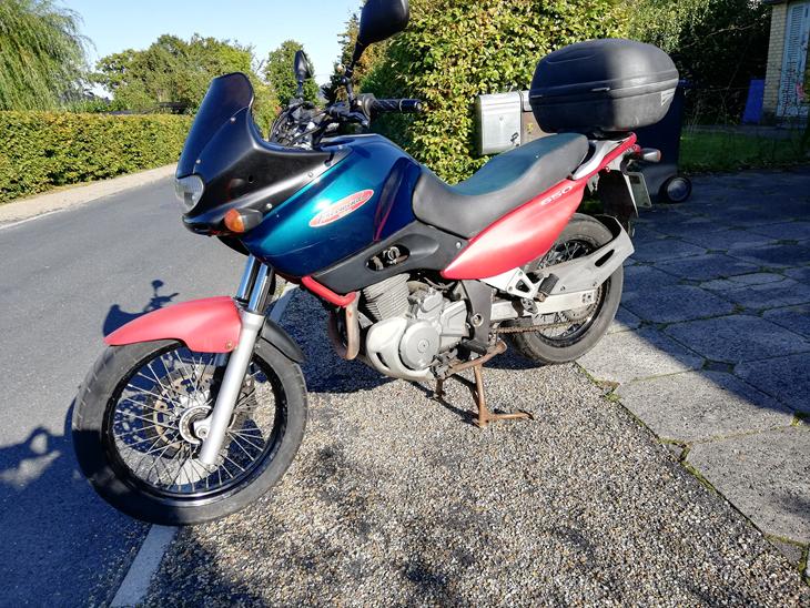 Suzuki XF 650 Freewind billede 0