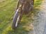 Harley Davidson Dyna Street bob