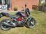 Benelli bn 251