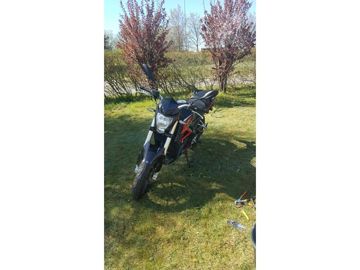 Benelli bn 251 billede 0