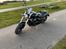 Suzuki M800 intruder